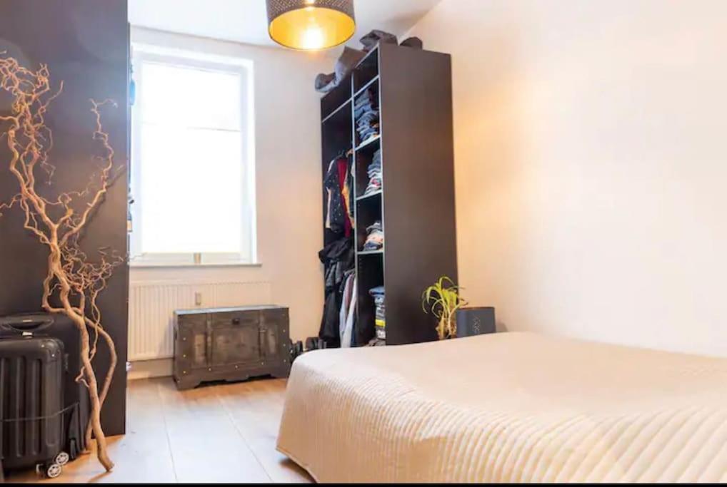 Design Apartment Im Zentrum Von Nienburg! 닌부르크 외부 사진
